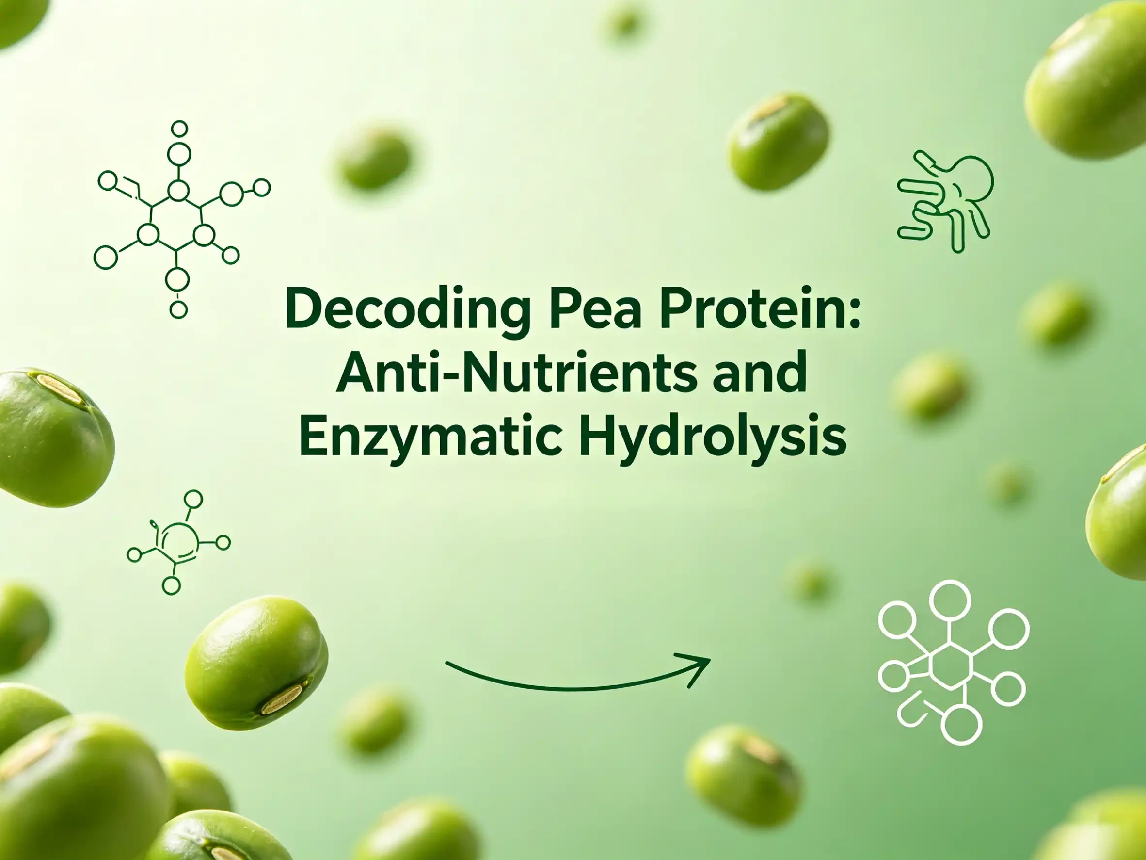Decoding Pea Protein: Anti-Nutrients and Enzymatic Hydrolysis