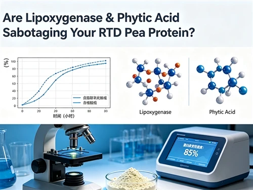 Are Lipoxygenase & Phytic Acid Sabotaging Your RTD Pea Protein?