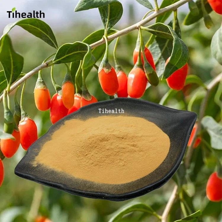 Lycium Barbarum Polysaccharide