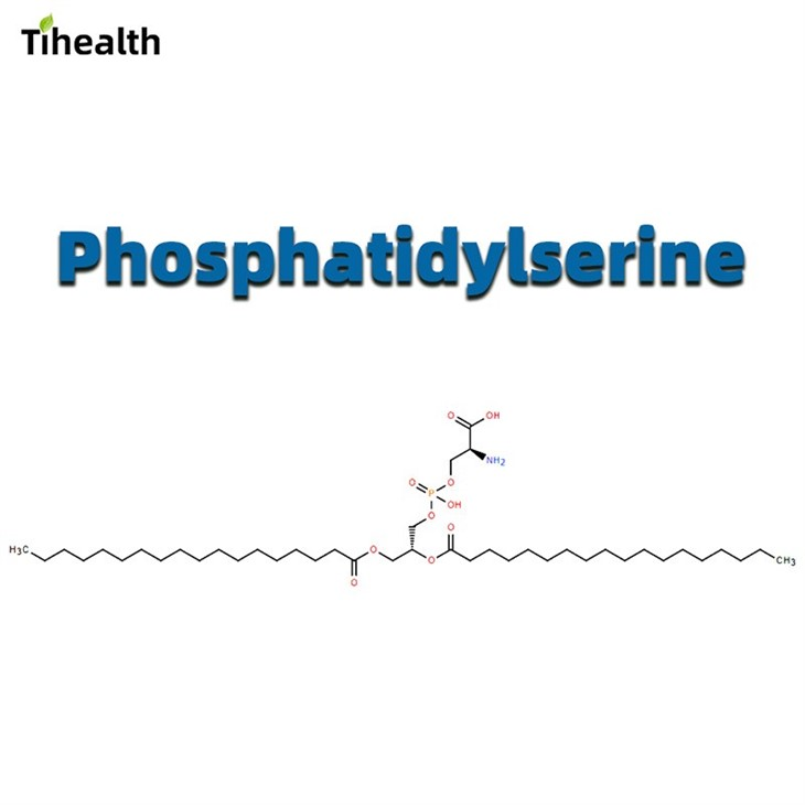 Phosphatidylserine CAS 51446-62-9 manufacturers