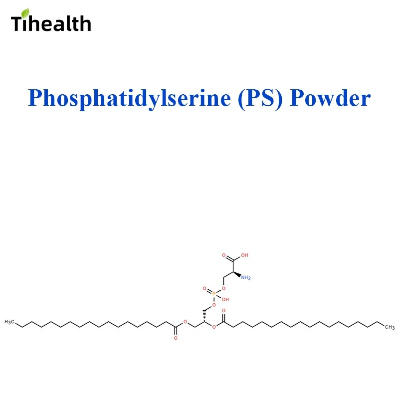 Phosphatidylserine (PS) Powder | Soy & Sunflower Derived | CAS 51446-62-9 manufacturers