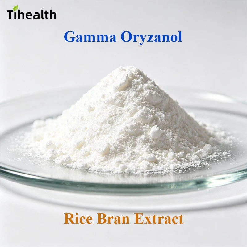 Premium Gamma Oryzanol (Rice Bran Extract) | ≥98% Purity | USP Grade | Cardiovascular & Antioxidant API manufacturers