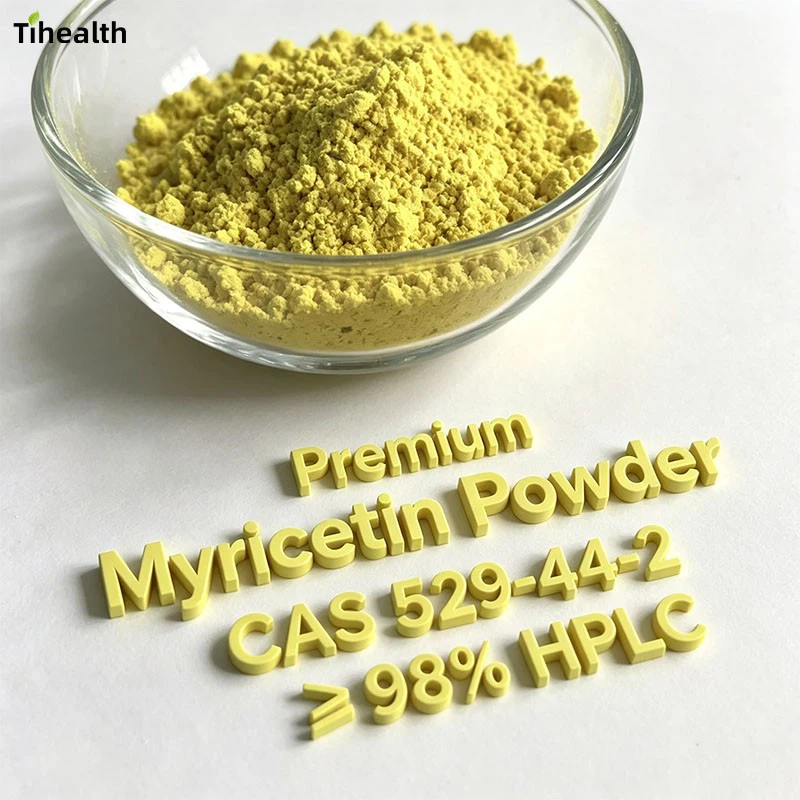 Premium Myricetin Powder | CAS 529-44-2 | ≥ 98% HPLC factory