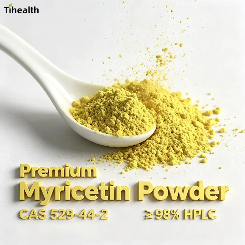 Premium Myricetin Powder | CAS 529-44-2 | ≥ 98% HPLC manufacturers