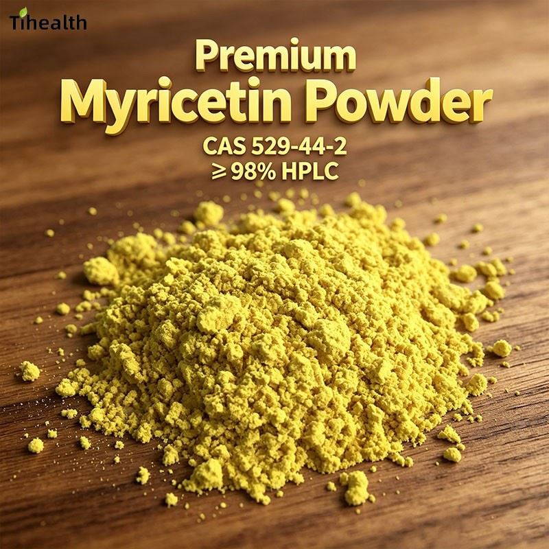 Premium Myricetin Powder | CAS 529-44-2 | ≥ 98% HPLC suppliers