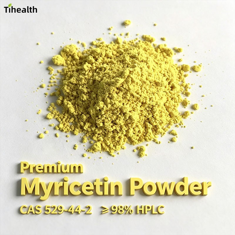 Premium Myricetin Powder | CAS 529-44-2 | ≥ 98% HPLC high quality