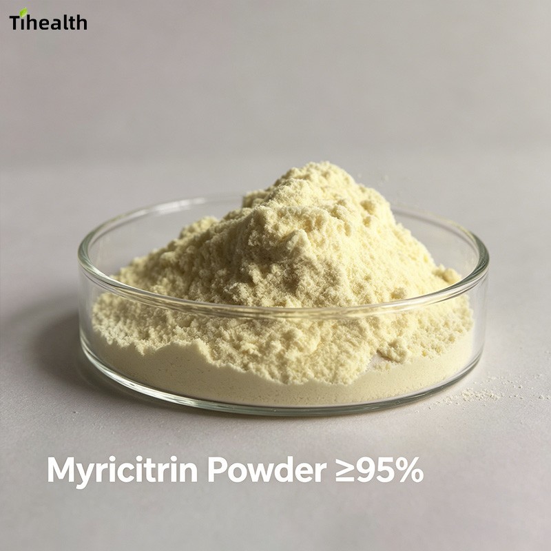 Myricitrin Powder | CAS 17912-87-37 | ≥ 95% HPLC | Myrica rubra Extract manufacturers
