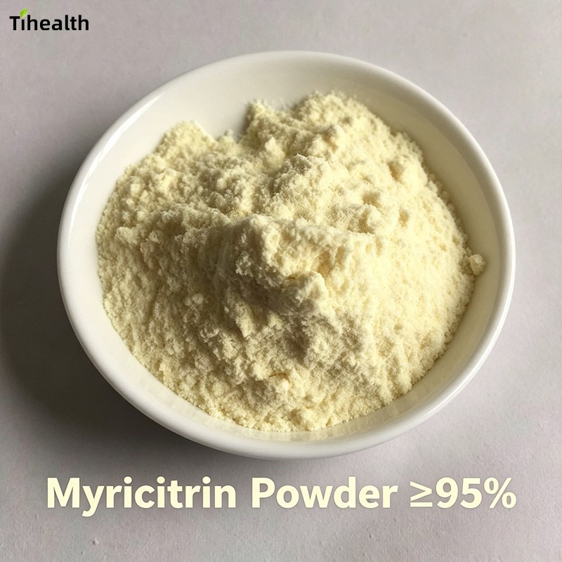 Myricitrin Powder | CAS 17912-87-37 | ≥ 95% HPLC | Myrica rubra Extract suppliers