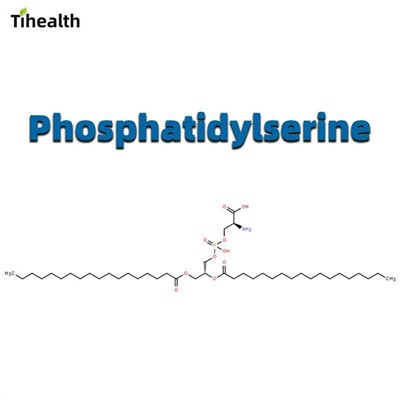 Phosphatidylserine CAS 51446-62-9