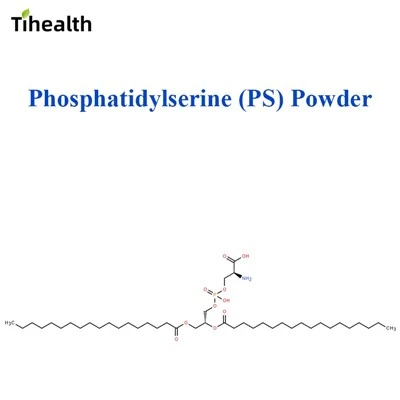 Phosphatidylserine (PS) Powder | Soy & Sunflower Derived | CAS 51446-62-9