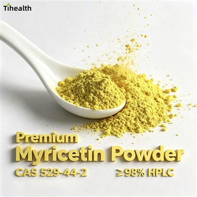 Premium Myricetin Powder | CAS 529-44-2 | ≥ 98% HPLC