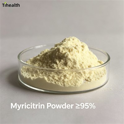 Myricitrin Powder | CAS 17912-87-37 | ≥ 95% HPLC | Myrica rubra Extract